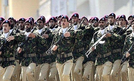 واشنطن تسمح لباكستان بالانضمام مجددا لبرامج تدريبات عسكرية أميركية واشنطن تسمح لباكستان بالانضمام مجددا لبرامج تدريبات عسكرية أميركية