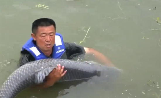 بالفيديو: لقطات صادمة لسمكة تسحب رجل وتغرقه في المياه