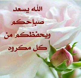 صباح الخير من المدينة نيوز