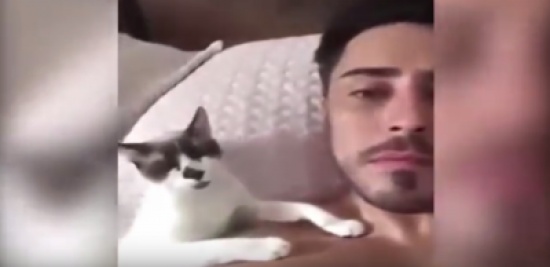فيديو| مليون مشاهدة لقط يقبل صاحبه