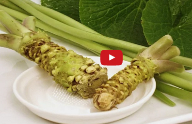 بالفيديو  :   كيف يصنع معجون واسابي؟