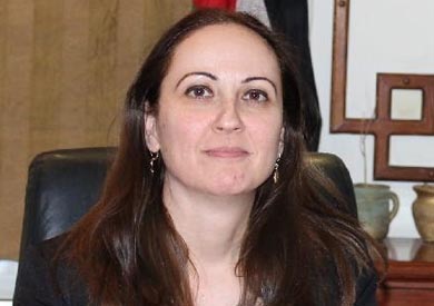 وزيرة الصناعة تؤكد اهمية التعاون الاقتصادي مع دول الكوميسا وزيرة الصناعة تؤكد اهمية التعاون الاقتصادي مع دول الكوميسا