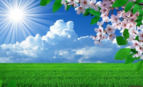 الثلاثاء :  أجواء ربيعية معتدلة في أغلب المناطق