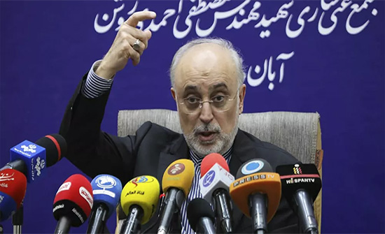 مسؤول إيراني: وقف عمل مفتشي الوكالة الذرية مرتبط بالتزام الطرف الآخر بالاتفاق النووي مسؤول إيراني: وقف عمل مفتشي الوكالة الذرية مرتبط بالتزام الطرف الآخر بالاتفاق النووي