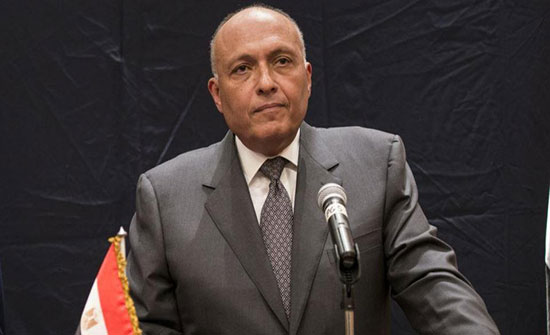 شكري إلى السعودية حاملاً رسالة من السيسي للملك سلمان