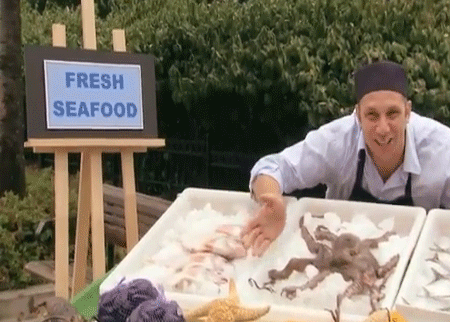 بائع المخلوقات البحرية