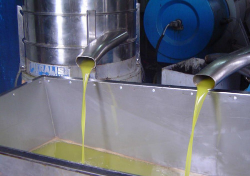 عجلون : لجنة الصحة والسلامة تكثف جولاتها الرقابية على المعاصر