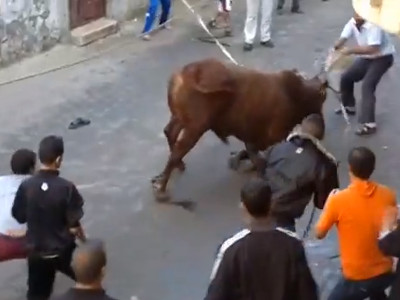 مصري أراد السيطرة بالرصاص على “أضحية” العيد فقتل أخاه