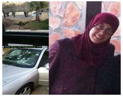 ارتفاع حصيلة الشهداء الفلسطينيين الى 137 شهيدا ارتفاع حصيلة الشهداء الفلسطينيين الى 137 شهيدا