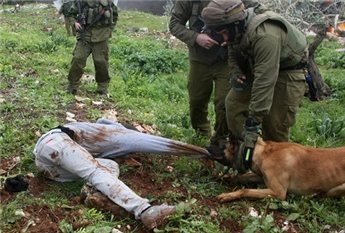 الطيبي: كلاب يدربها مستوطنون لمهاجمة كل فلسطيني يصرخ "الله أكبر" الطيبي: كلاب يدربها مستوطنون لمهاجمة كل فلسطيني يصرخ "الله أكبر"