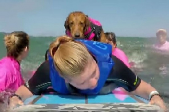 شاهد.. شقيقتان أمريكيتان تتمكنان من ركوب الأمواج بفضل كلبة