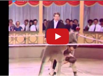 مباراة ملاكمة بين رجل والكنغر!