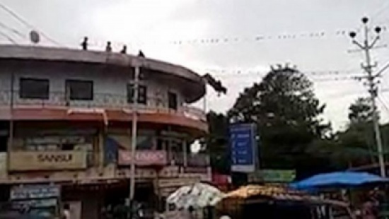 شاهد: بقرة تقرر الانتحار بعد إصابتها بالاكتئاب