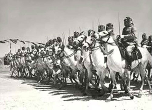 عروبة فلسطين .. قضية محورية في الثورة العربية الكبرى