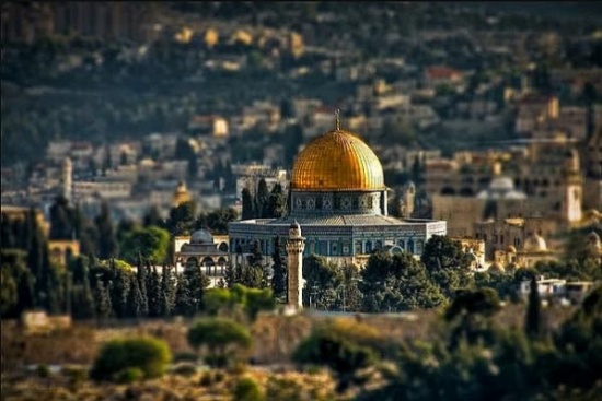 دراسة عن العرب بالقدس : متوسط ولادة المرأة اليهودية 3- 4 أطفال دراسة عن العرب بالقدس : متوسط ولادة المرأة اليهودية 3- 4 أطفال