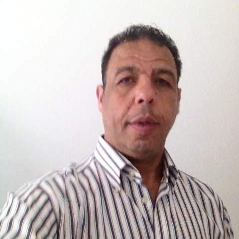 موسم خارج الشجر