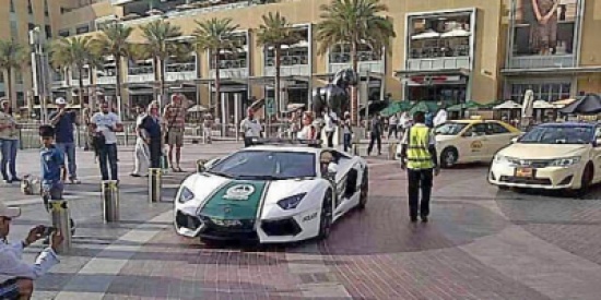 هرب من الشرطة وطلب منها نجدته هرب من الشرطة وطلب منها نجدته