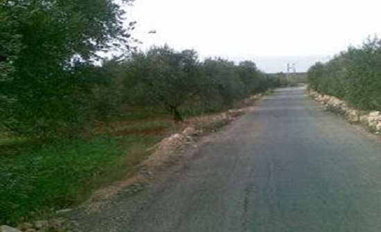 105 آلاف دينار للطرق الزراعية في رابية الكورة