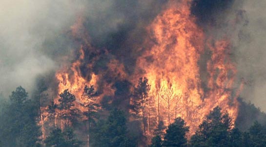 افتتاح دورة إطفاء حرائق الغابات في مديرية دفاع مدني عجلون