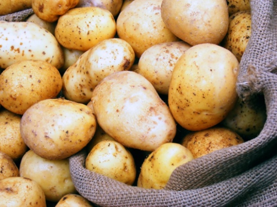 تعليق استيراد البطاطا من مصر تعليق استيراد البطاطا من مصر