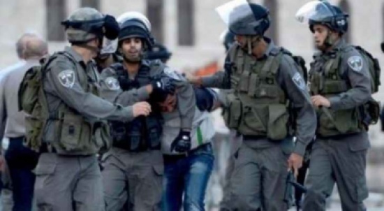 الاحتلال يعتقل 12 فلسطينيا الاحتلال يعتقل 12 فلسطينيا