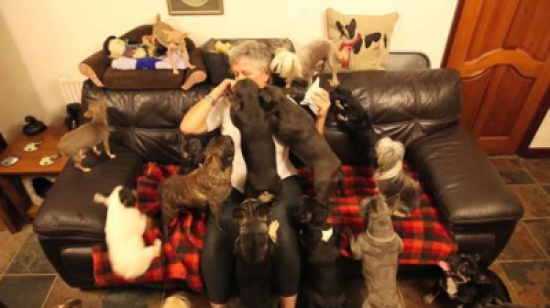 صور: امرأة تعيش مع 41 كلباً وتفضّلها على ابنتها