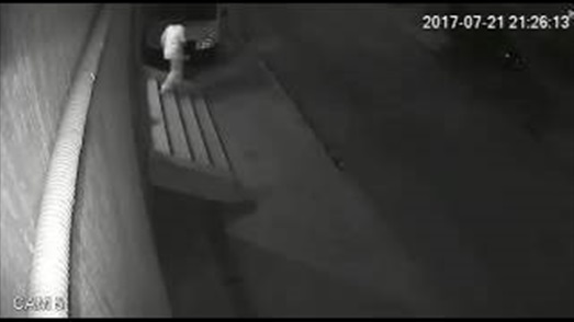 بالفيديو.. لحظة سرقة لص هاتفا من يد فتاة تجلس أمام منزلها