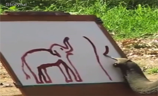 بالفيديو: فيل يثير الغضب برسمه لنفسه