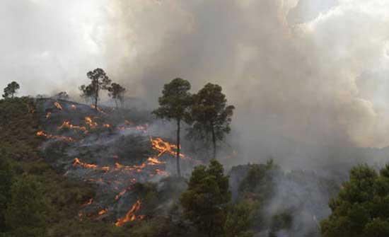 وزير الداخلية الجزائري: أيادي تخريبية تقف وراء الحرائق