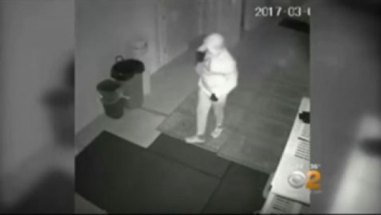 فيديو: لص يسرق صناديق التبرعات من مركزين إسلاميين