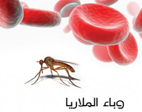 اليوم العالمي لمكافحة الملاريا الإثنين والاردن يتصدر قائمة مكافحي المرض اليوم العالمي لمكافحة الملاريا الإثنين والاردن يتصدر قائمة مكافحي المرض