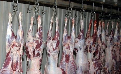 182 طن من اللحوم والأسماك جرى معاينتها في مسلخ الأمانة خلال العيد 182 طن من اللحوم والأسماك جرى معاينتها في مسلخ الأمانة خلال العيد