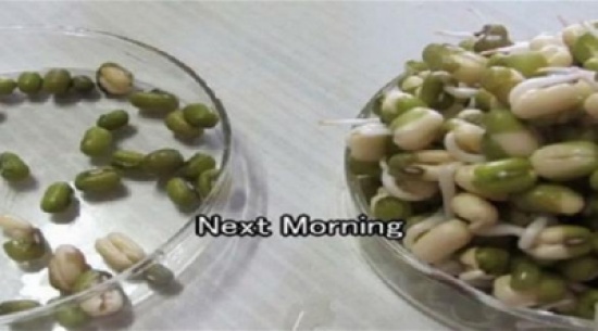 بعد هذه الصورة لن تضع هاتفك بجانب رأسك أبداً