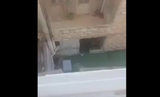 مديرة الحضانة التي طردت الطفلة ... موقوفة في الجويدة مديرة الحضانة التي طردت الطفلة ... موقوفة في الجويدة