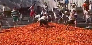 حرب الطماطم تشتعل في تشيلي