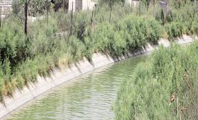 تكريم ذوي الاحتياجات الخاصة وذويهم وعمال وطن بالاغوار الجنوبية