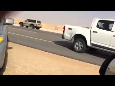 نفوق 7 من الإبل في وادي عربة بحادث دهس