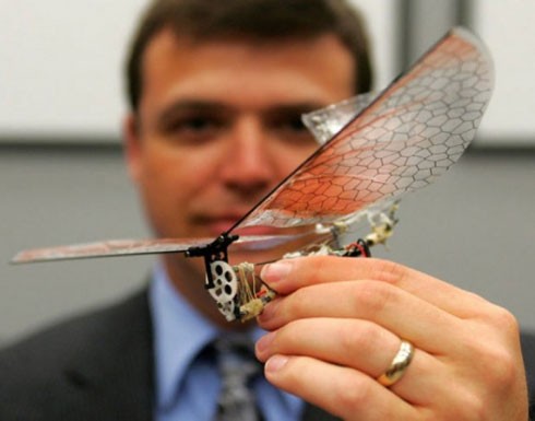 غزة: حشرات الكترونية طائرة للبحث عن جنود إسرائيليين أسرى