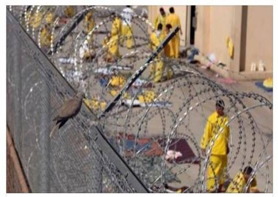 فيديو| أسوأ السجون سمعة في العالم العربي!