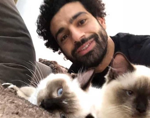 محمد صلاح يعلق على قضية "تصدير القطط والكلاب" محمد صلاح يعلق على قضية "تصدير القطط والكلاب"