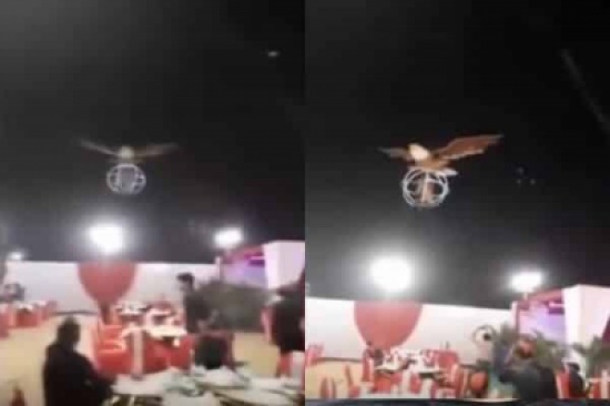 بالفيديو - عروسان يهبطان الى حفل زفافهما من السماء عبر طائر عملاق!