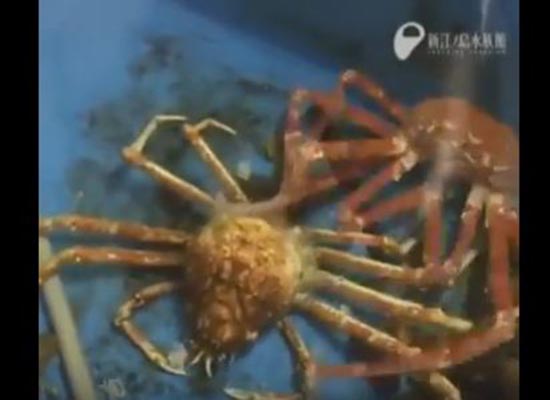 بالفيديو: لحظة تغيير كائنات لجسدها الخارجي