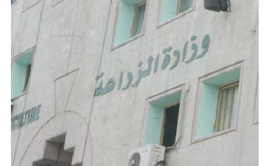 التنمية الريفية تنفذ 772 مشروعا للأسر الفقيرة العام الماضي التنمية الريفية تنفذ 772 مشروعا للأسر الفقيرة العام الماضي