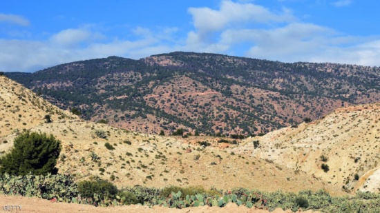 القوات التونسية تشتبك مع "عناصر إرهابية" في القصرين