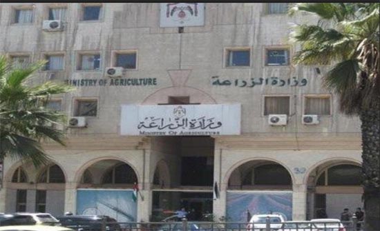 زراعة اربد تعلن عن فعاليات مهرجان الزيتون السنوي