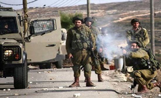 الاحتلال يعتقل 16 فلسطينيا الاحتلال يعتقل 16 فلسطينيا