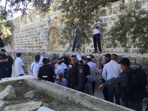 مستوطنون وقائد لواء شرطة الاحتلال يقتحمون الأقصى