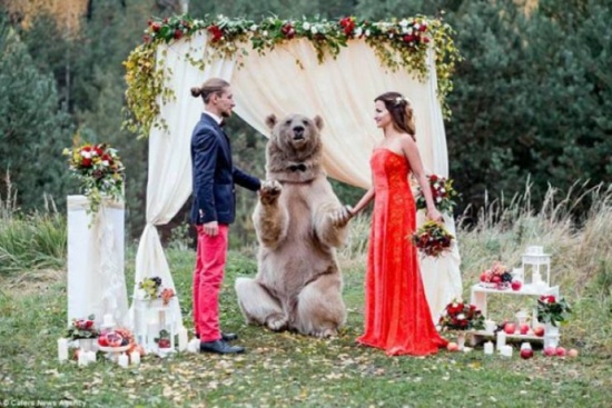 فيديو: زواج رجل وامرأة على يد دب روسي! فيديو: زواج رجل وامرأة على يد دب روسي!