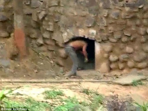 يدخل قفص النمور ويتحداها لمدة 45 دقيقة - فيديو