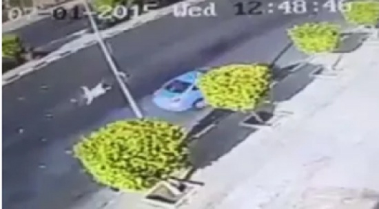 شاهد.. مصرع رجل دهساً أثناء قطعه لطريق